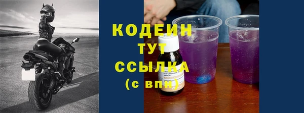 ECSTASY Богородицк