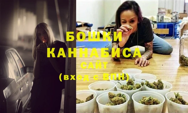 ECSTASY Богородицк